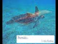 Vacances Sous Voiles - Location de voiliers - British Virgin Islands