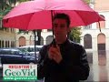 INTRODUCCIÓN A LA SELVA DE LA FACULTAD DE BOLOGNA