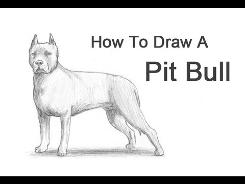 how to draw a dog