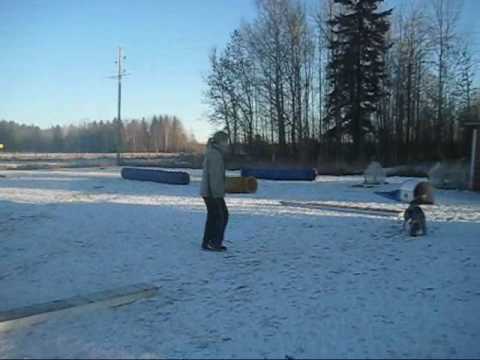 Running contacts - Älva