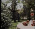 virgincola - �i??