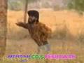 Chuck Norris Midget.