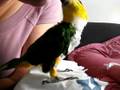 videos de JoJo giving kisses while watching Oprah