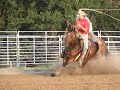 FOR SALE 1994 AQHA Team Roping Horse FOR SALE 1994 AQHA Team Roping Horse