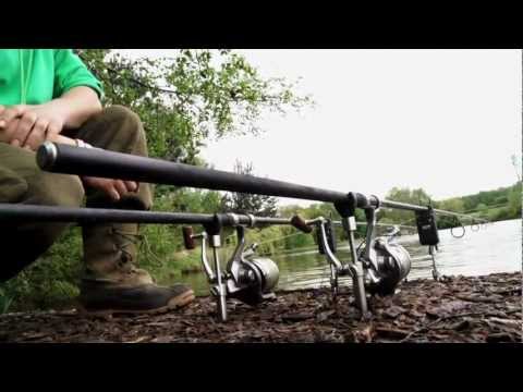 XL Carp Video