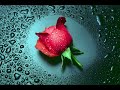 o-iubire-imposibila