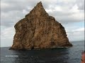 Pico