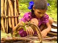 FUELWOOD CRISIS
