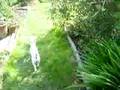first experience in the garden