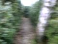 videos de BennyLance News 24/11/08 -Tombe la neige