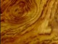 Eve Guitars Bubinga Explorer Build