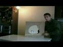 plante-carnivore2