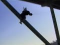 The Offspring -  Greg K Base Jump - Gone Away