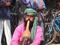 World Bites #5: Snake Charmer