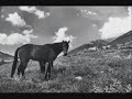 PETRILIA - Palia mou xronia