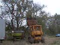 MOOSE, Tree Crashin\