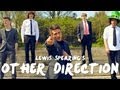 Other Direction - One Thing (One Direction Parody)