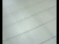 brésilienne au lycée et paf !!