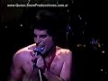 Queen | Don\