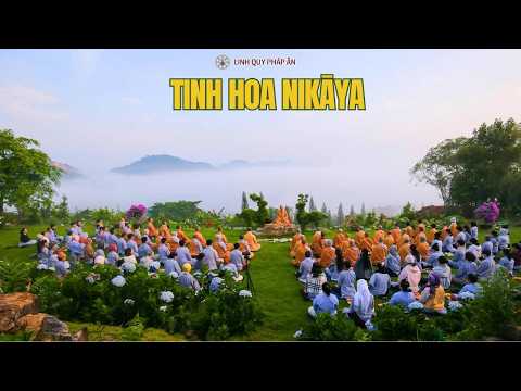 Tinh Hoa NIKAYA - Tương Ưng Minh Kiến 2 - Minh Kiến Nhân Quả