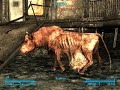 Random things in my gamming time