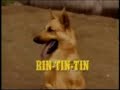 Recordando cães atores - Lassie - Rin Tin Tin - Benji Recordando cães atores - Lassie - Rin Tin Tin - Benji