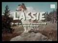 Recordando cães atores - Lassie - Rin Tin Tin - Benji
