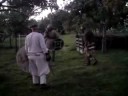Reenactment Training