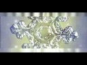 Snowdance