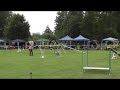 Agility, Möttingen, Roxy