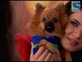 Anamika - Episode 41 - 21st Jaunary 2013