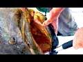 Man VS Fish HD! Chew On This Sanibel Florida
