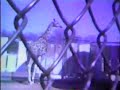 Granby Zoo Late 1970s