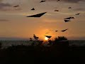 Little Gasparilla Island Dawn to Dusk Little Gasparilla Island Dawn to Dusk