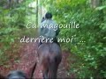Dailly la brume Dailly la brume