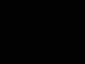 Firework