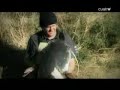 cuarto milenio el sexto sentido de los animales 3 parte