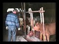 China: Duurzaam produceren, én geld verdienen China: Duurzaam produceren, én geld verdienen