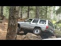 Wheeling in the Tillamook state forest..