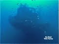 relitto Laura C by Dsa Shark Tek Scuba School