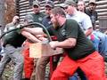 videos de Haywood Bow Saw: Jeremy Graves
