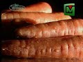 capsula sobre la zanahora