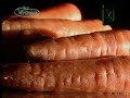 capsula sobre la zanahora