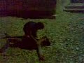 film horror a scopello
