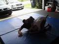 Rubber Gaurd into Loco Plata into Omoplata Setup