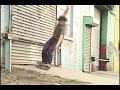 Pat Smith - Where I\