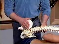 Home Chiropractic - Do it Yourself