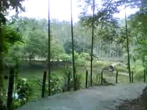 2009/05/17 嘉義縣中埔鄉豐山生態園區 Feng-shan,Chiayi County,Taiwan