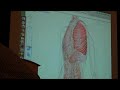 A sneak peak at WebGL Camp #2 (www.webglcamp.com) of a web3D medical application called the Google Body Browser. Built using WebGL and running natively in supported browsers. Visit bodybrowser.googlelabs.com to experience it. More on this and other technologies on my blog http