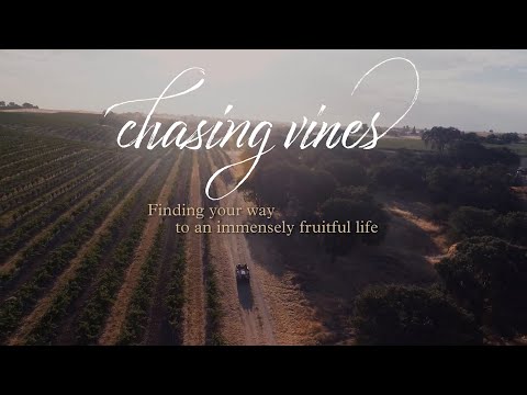 Beth Moore Introduces Chasing Vines